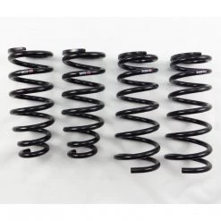 RS-R Suspension LEXUS GS 300/400/430 DOWN SUS SPRINGS 1998-2005
