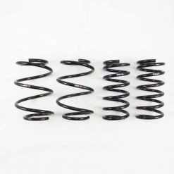 RS-R Suspension NISSAN MAXIMA DOWN SUS SPRINGS 2009-2014