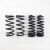RS-R Suspension LEXUS GS350 RWD DOWN SUS SPRINGS 2016+